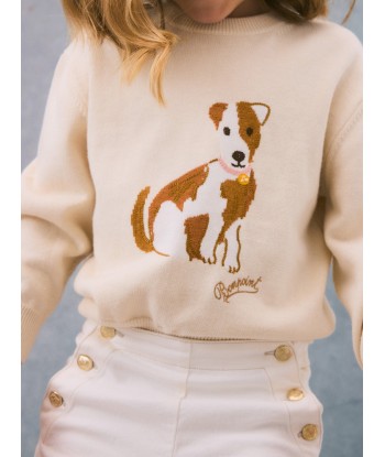 Pull Anumati à motif chien de votre