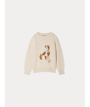 Pull Anumati à motif chien de votre