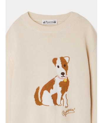 Pull Anumati à motif chien de votre