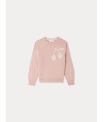 Pull Anumati en cachemire rose Dans la société mordern