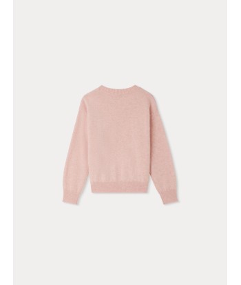 Pull Anumati en cachemire rose Dans la société mordern