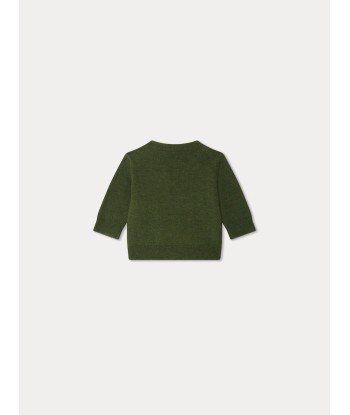 Pull Almire en laine vert foncé Les êtres humains sont 