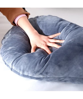 Coussin de Maternité & Allaitement prix pour 